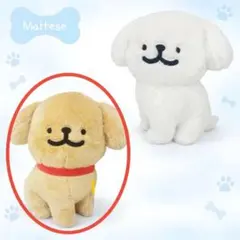 モルチーズBIGぬいぐるみ《新品タグ付き》