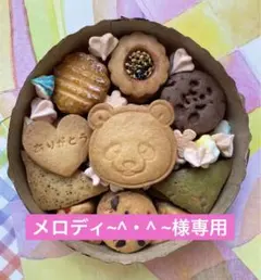 メロディ~^・^ ~様専用ページです⭐︎