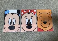 東京ディズニーリゾート クリアホルダー 3枚セット　ミッキー　ミニー　プーさんのサムネイル