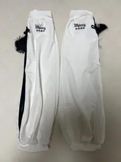 Item thumbnail for item 6e2bea43-36f2-4d83-beb4-e3f43614da44