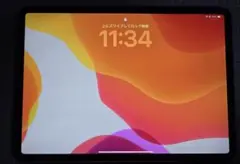 iPad Pro (第2世代) スペースグレイ 11インチ Wi-Fi 1TB