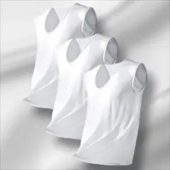 Item thumbnail for item 7d70ee8f-b909-4a8a-9989-3df92a1612e8