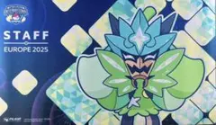 NAIC ブイズ プレイマット staff チャンピオンシップ NAIC ブイズ プレイマット staff チャンピオンシップ Pokemon