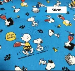 スヌーピー・チャーリー・ブラウン プリント生地