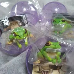 ナゴヤダルマガエル 「京都水族館フィギュアコレクション」 - メルカリ