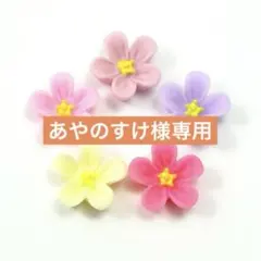 あやのすけ様専用