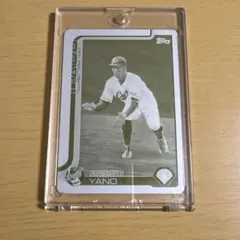 Item thumbnail for item 6c4c446d-8d8b-4383-ad62-253b1a37bca5