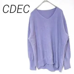 CDEC 薄紫のVネックニットセーター　カジュアル　フリー