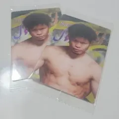 RIZIN ウエハースカード 鈴木博昭　怪物くん