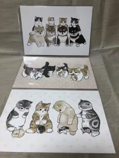 mofusand ポストカード3枚セット