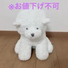 ジェラピケ　ビションフリーゼ　ティッシュケース