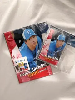 達　孝太選手　ファイターズガチャ　DOMIれ！スーパーレア　応援パネル 達 孝太選手 ファイターズガチャ DOMIれ！スーパーレア 応援パネル