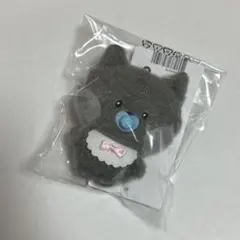 2026年最新】zeroni ウンニニの人気アイテム - メルカリ