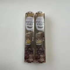 マジョリカ マジョルカ ラッシュボーン ブラックファイバーイン 6g