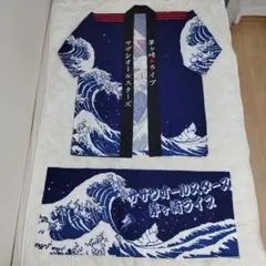 サザンオールスターズ　レア　ハッピ サザンオールスターズ 2008 30周年記念 はっぴハッピ法被 ピンク