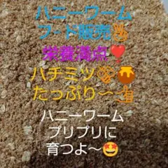 Item thumbnail for item f5af12ac-2070-4799-a34d-0551c3716851