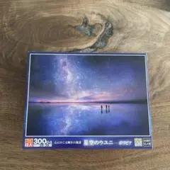 めざせパズルの達人 星空のウユニ ボリビア 300ピース ジグソーパズル