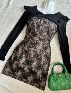 DENNY ROSE xs レースデザインタイトフィットワンピース イタリア製