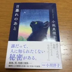 小池真理子 日暮れのあと