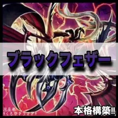 遊戯王 No. 684 本格構築❗️ ブラックフェザー デッキのサムネイル