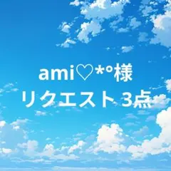 ami♡*°様 リクエスト 3点 まとめ商品