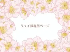リュイ様専用⭐️クレイケーキ*Bigリボン