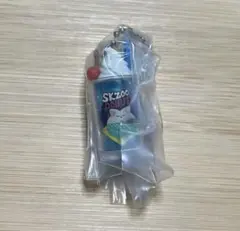 SKZOO フォクシニー レトログラスミニチュアチャーム　スキズ　アイエン