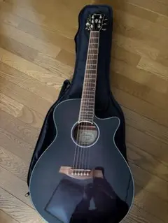 Ibanez AEG24II-TGB1203 アコースティックギター
