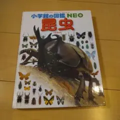 小学校の図鑑NEO 昆虫