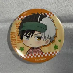 WIND BREAKER ウィンブレ and GALLERY 缶バッジ 桜遥