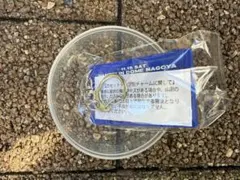 B’z LIVE-GYM 2025 -FYOP-ガチャ11/15カセットチャーム