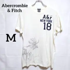 Abercrombie & Fitch【M】Tシャツ ホワイト プリント