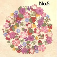 anz様 リクエスト 3点 まとめ商品