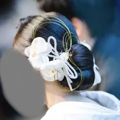 胡蝶蘭 髪飾りセット 結婚式 成人式 前撮り　和装小物　ヘアアクセサリー