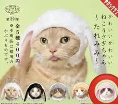2026年最新】ねこのかぶりものの人気アイテム - メルカリ