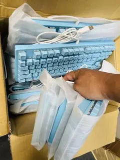 13点ジャンクRGBバックライト フルサイズキーボード 本体