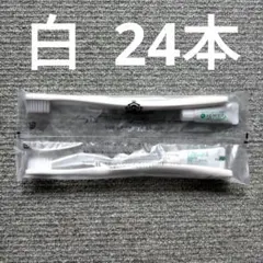 2025年最新】アパホテル 歯ブラシの人気アイテム - メルカリ