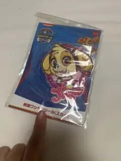【新品未使用】パウ・パトロール 刺繍ワッペンシール スカイ