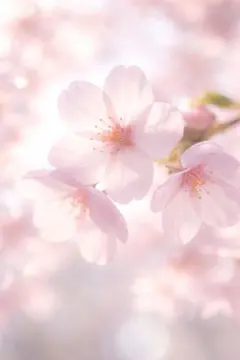 Item thumbnail for item 5ce95208-7024-4339-b69f-632c0e417099