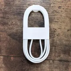 Apple純正 USB-C充電ケーブル（1m）