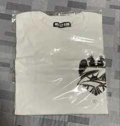 新品未開封】RILYゼブラ柄シャツ 今市隆二 Lサイズ - メルカリ