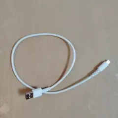 iPhone充電 ライトニングケーブル　50cm
