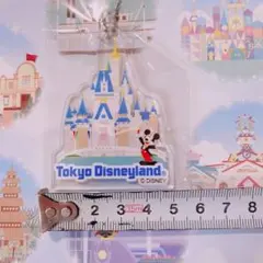 ミッキー　アクリルチャーム　キーホルダー