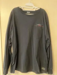 schott EMBROIDERY L/S パンサー刺繍 Tシャツ 2XLのサムネイル