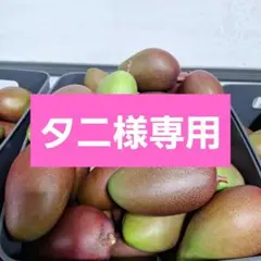 タニ様専用です!　　14㎏