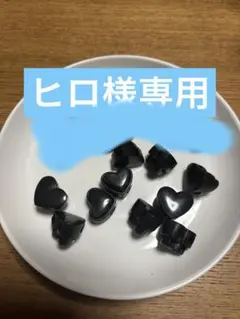 【ヒロ様専用】
