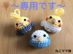 《専用》鳥さんのあみぐるみ　ウロコインコ セキセイインコ　目印キーホルダー