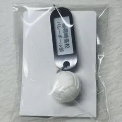ハイキュー　高校名付き鍵チャーム　稲荷崎
