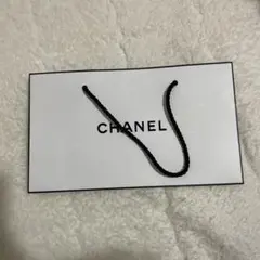 CHANEL ショップ袋 ホワイト