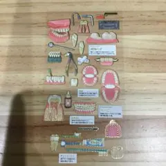 T*可様 大人の図鑑シール